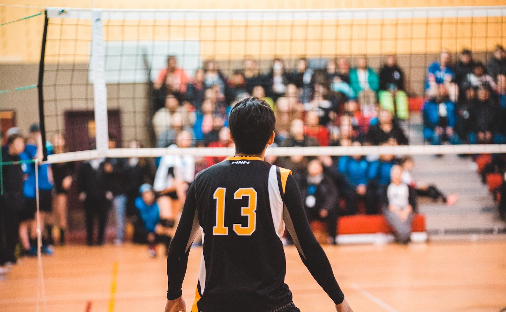 Wystartowała siatkarska PlusLiga 2019/2020. ZAKSA dalej na tronie? [kursy bukmacherskie]