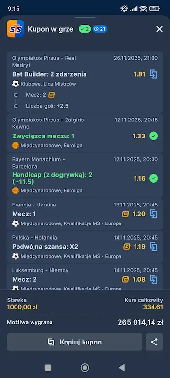 Podgląd kuponu Strefa Inspiracji STS